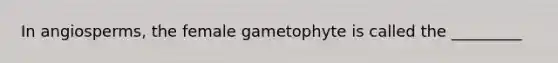 In angiosperms, the female gametophyte is called the _________