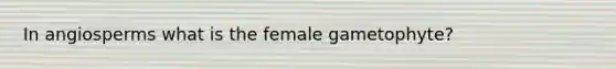 In angiosperms what is the female gametophyte?