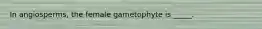 In angiosperms, the female gametophyte is _____.