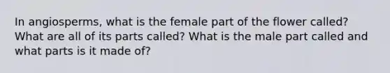 In angiosperms, what is the female part of the flower called? What are all of its parts called? What is the male part called and what parts is it made of?