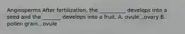 Angiosperms After fertilization, the __________ develops into a seed and the _______ develops into a fruit. A. ovule...ovary B. pollen grain...ovule