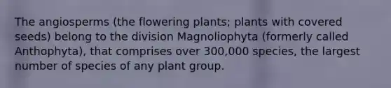 The angiosperms (the flowering plants; plants with covered seeds) belong to the division Magnoliophyta (formerly called Anthophyta), that comprises over 300,000 species, the largest number of species of any plant group.