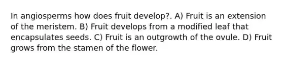 In angiosperms how does fruit develop?. A) Fruit is an extension of the meristem. B) Fruit develops from a modified leaf that encapsulates seeds. C) Fruit is an outgrowth of the ovule. D) Fruit grows from the stamen of the flower.