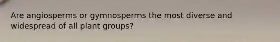 Are angiosperms or gymnosperms the most diverse and widespread of all plant groups?