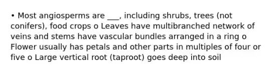 • Most angiosperms are ___, including shrubs, trees (not conifers), food crops o Leaves have multibranched network of veins and stems have vascular bundles arranged in a ring o Flower usually has petals and other parts in multiples of four or five o Large vertical root (taproot) goes deep into soil