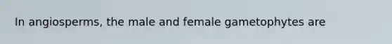 In angiosperms, the male and female gametophytes are