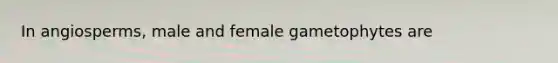 In angiosperms, male and female gametophytes are