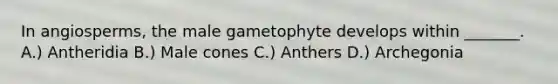 In angiosperms, the male gametophyte develops within _______. A.) Antheridia B.) Male cones C.) Anthers D.) Archegonia