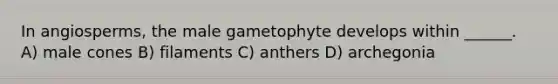 In angiosperms, the male gametophyte develops within ______. A) male cones B) filaments C) anthers D) archegonia