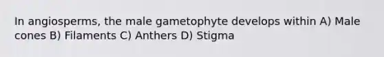 In angiosperms, the male gametophyte develops within A) Male cones B) Filaments C) Anthers D) Stigma