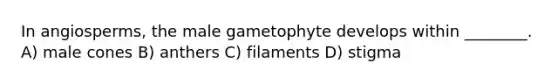 In angiosperms, the male gametophyte develops within ________. A) male cones B) anthers C) filaments D) stigma