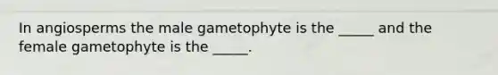 In angiosperms the male gametophyte is the _____ and the female gametophyte is the _____.