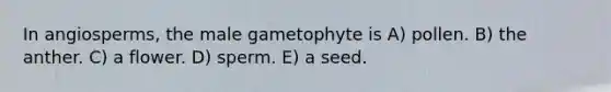 In angiosperms, the male gametophyte is A) pollen. B) the anther. C) a flower. D) sperm. E) a seed.