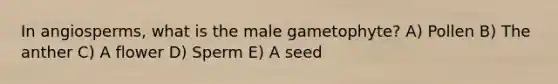 In angiosperms, what is the male gametophyte? A) Pollen B) The anther C) A flower D) Sperm E) A seed