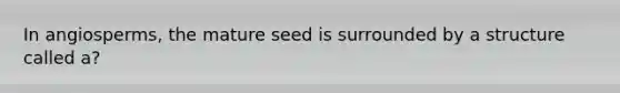 In angiosperms, the mature seed is surrounded by a structure called a?