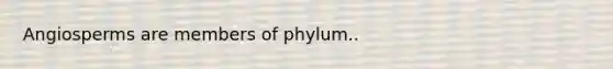 Angiosperms are members of phylum..