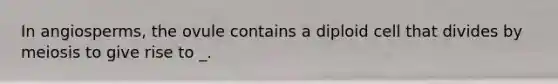 In angiosperms, the ovule contains a diploid cell that divides by meiosis to give rise to _.