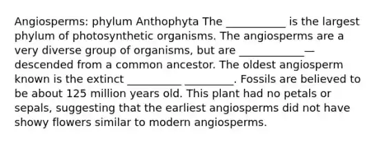 Angiosperms: phylum Anthophyta The ___________ is the largest phylum of photosynthetic organisms. The angiosperms are a very diverse group of organisms, but are ____________— descended from a common ancestor. The oldest angiosperm known is the extinct __________ _________. Fossils are believed to be about 125 million years old. This plant had no petals or sepals, suggesting that the earliest angiosperms did not have showy flowers similar to modern angiosperms.