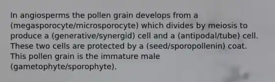 In angiosperms the pollen grain develops from a (megasporocyte/microsporocyte) which divides by meiosis to produce a (generative/synergid) cell and a (antipodal/tube) cell. These two cells are protected by a (seed/sporopollenin) coat. This pollen grain is the immature male (gametophyte/sporophyte).