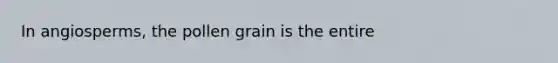 In angiosperms, the pollen grain is the entire