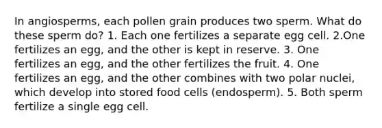 In angiosperms, each pollen grain produces two sperm. What do these sperm do? 1. Each one fertilizes a separate egg cell. 2.One fertilizes an egg, and the other is kept in reserve. 3. One fertilizes an egg, and the other fertilizes the fruit. 4. One fertilizes an egg, and the other combines with two polar nuclei, which develop into stored food cells (endosperm). 5. Both sperm fertilize a single egg cell.