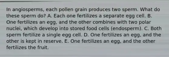 In angiosperms, each pollen grain produces two sperm. What do these sperm do? A. Each one fertilizes a separate egg cell. B. One fertilizes an egg, and the other combines with two polar nuclei, which develop into stored food cells (endosperm). C. Both sperm fertilize a single egg cell. D. One fertilizes an egg, and the other is kept in reserve. E. One fertilizes an egg, and the other fertilizes the fruit.