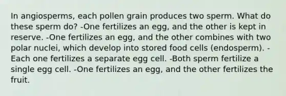 In angiosperms, each pollen grain produces two sperm. What do these sperm do? -One fertilizes an egg, and the other is kept in reserve. -One fertilizes an egg, and the other combines with two polar nuclei, which develop into stored food cells (endosperm). -Each one fertilizes a separate egg cell. -Both sperm fertilize a single egg cell. -One fertilizes an egg, and the other fertilizes the fruit.