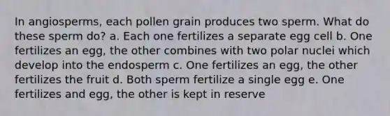 In angiosperms, each pollen grain produces two sperm. What do these sperm do? a. Each one fertilizes a separate egg cell b. One fertilizes an egg, the other combines with two polar nuclei which develop into the endosperm c. One fertilizes an egg, the other fertilizes the fruit d. Both sperm fertilize a single egg e. One fertilizes and egg, the other is kept in reserve