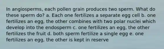 In angiosperms, each pollen grain produces two sperm. What do these sperm do? a. Each one fertilizes a separate egg cell b. one fertilizes an egg, the other combines with two polar nuclei which develop into the endosperm c. one fertilizes an egg, the other fertilizes the fruit d. both sperm fertilize a single egg e. one fertilizes an egg, the other is kept in reserve