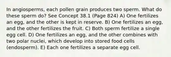 In angiosperms, each pollen grain produces two sperm. What do these sperm do? See Concept 38.1 (Page 824) A) One fertilizes an egg, and the other is kept in reserve. B) One fertilizes an egg, and the other fertilizes the fruit. C) Both sperm fertilize a single egg cell. D) One fertilizes an egg, and the other combines with two polar nuclei, which develop into stored food cells (endosperm). E) Each one fertilizes a separate egg cell.