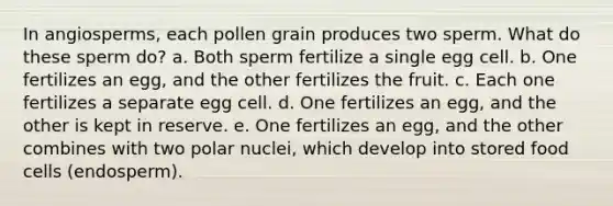 In angiosperms, each pollen grain produces two sperm. What do these sperm do? a. Both sperm fertilize a single egg cell. b. One fertilizes an egg, and the other fertilizes the fruit. c. Each one fertilizes a separate egg cell. d. One fertilizes an egg, and the other is kept in reserve. e. One fertilizes an egg, and the other combines with two polar nuclei, which develop into stored food cells (endosperm).