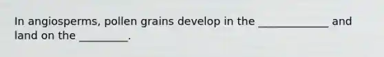 In angiosperms, pollen grains develop in the _____________ and land on the _________.