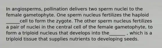 In angiosperms, pollination delivers two sperm nuclei to the female gametophyte. One sperm nucleus fertilizes the haploid ______cell to form the zygote. The other sperm nucleus fertilizes a pair of nuclei in the central cell of the female gametophyte, to form a triploid nucleus that develops into the_______ , which is a triploid tissue that supplies nutrients to developing seeds.