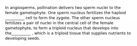 In angiosperms, pollination delivers two sperm nuclei to the female gametophyte. One sperm nucleus fertilizes the haploid __________ cell to form the zygote. The other sperm nucleus fertilizes a pair of nuclei in the central cell of the female gametophyte, to form a triploid nucleus that develops into the__________ , which is a triploid tissue that supplies nutrients to developing seeds.