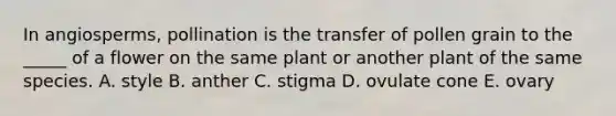 In angiosperms, pollination is the transfer of pollen grain to the _____ of a flower on the same plant or another plant of the same species. A. style B. anther C. stigma D. ovulate cone E. ovary