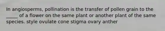 In angiosperms, pollination is the transfer of pollen grain to the _____ of a flower on the same plant or another plant of the same species. style ovulate cone stigma ovary anther