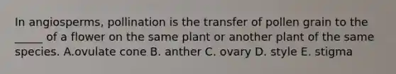 In angiosperms, pollination is the transfer of pollen grain to the _____ of a flower on the same plant or another plant of the same species. A.ovulate cone B. anther C. ovary D. style E. stigma