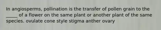 In angiosperms, pollination is the transfer of pollen grain to the _____ of a flower on the same plant or another plant of the same species. ovulate cone style stigma anther ovary