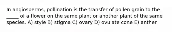 In angiosperms, pollination is the transfer of pollen grain to the _____ of a flower on the same plant or another plant of the same species. A) style B) stigma C) ovary D) ovulate cone E) anther