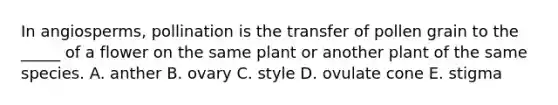 In angiosperms, pollination is the transfer of pollen grain to the _____ of a flower on the same plant or another plant of the same species. A. anther B. ovary C. style D. ovulate cone E. stigma