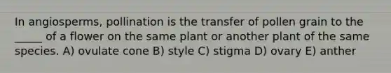 In angiosperms, pollination is the transfer of pollen grain to the _____ of a flower on the same plant or another plant of the same species. A) ovulate cone B) style C) stigma D) ovary E) anther