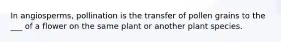 In angiosperms, pollination is the transfer of pollen grains to the ___ of a flower on the same plant or another plant species.