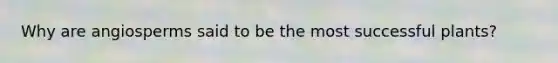 Why are angiosperms said to be the most successful plants?