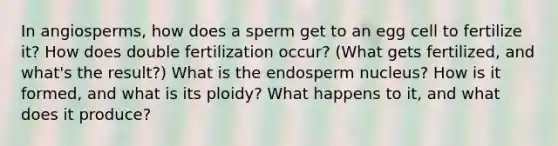 In angiosperms, how does a sperm get to an egg cell to fertilize it? How does double fertilization occur? (What gets fertilized, and what's the result?) What is the endosperm nucleus? How is it formed, and what is its ploidy? What happens to it, and what does it produce?