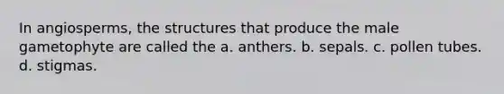 In angiosperms, the structures that produce the male gametophyte are called the a. anthers. b. sepals. c. pollen tubes. d. stigmas.