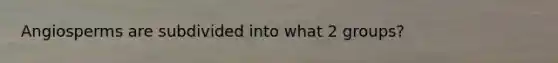 Angiosperms are subdivided into what 2 groups?
