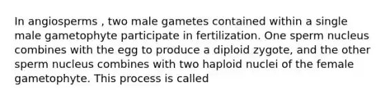 In angiosperms , two male gametes contained within a single male gametophyte participate in fertilization. One sperm nucleus combines with the egg to produce a diploid zygote, and the other sperm nucleus combines with two haploid nuclei of the female gametophyte. This process is called