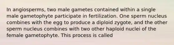 In angiosperms, two male gametes contained within a single male gametophyte participate in fertilization. One sperm nucleus combines with the egg to produce a diploid zygote, and the other sperm nucleus combines with two other haploid nuclei of the female gametophyte. This process is called