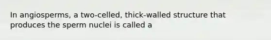 In angiosperms, a two-celled, thick-walled structure that produces the sperm nuclei is called a