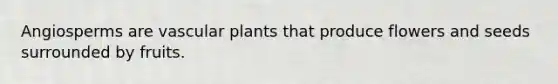 Angiosperms are vascular plants that produce flowers and seeds surrounded by fruits.